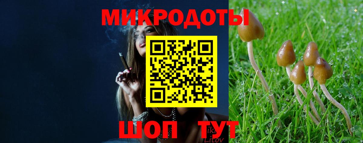 Галлюциногенные грибы MAGIC MUSHROOMS  Псилоцибиновые грибы Cubensis  Алексин  Вход с VPN 